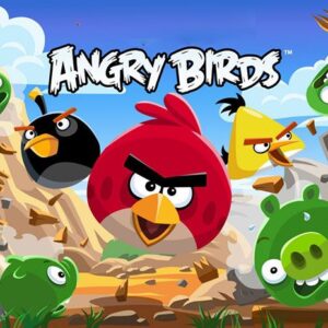 How to Play the Game Angry Birds