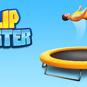 How to Play the Game Flip Master