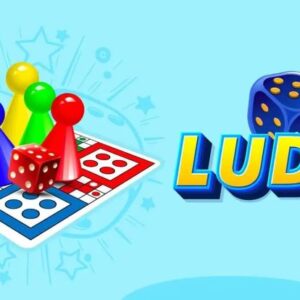 How to Play the Game Ludo