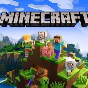 How to Play the Game Minecraft