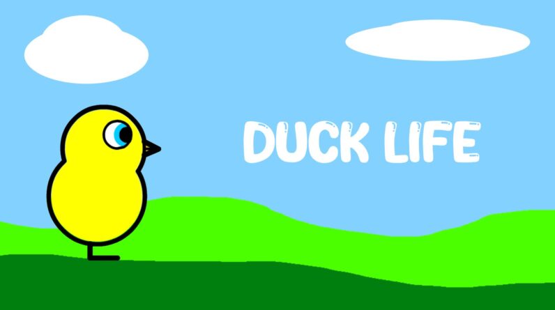 How to Play the Game Duck Life: A Comprehensive Guide